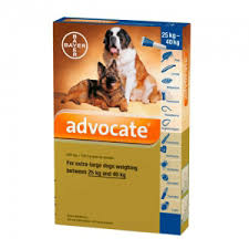 Advocate  25 - 40 kg Pipeta x 1 dosis 4 mL