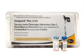 Vanguard plus 5CV (quintuple cachorro) x caja x 25 dosis
