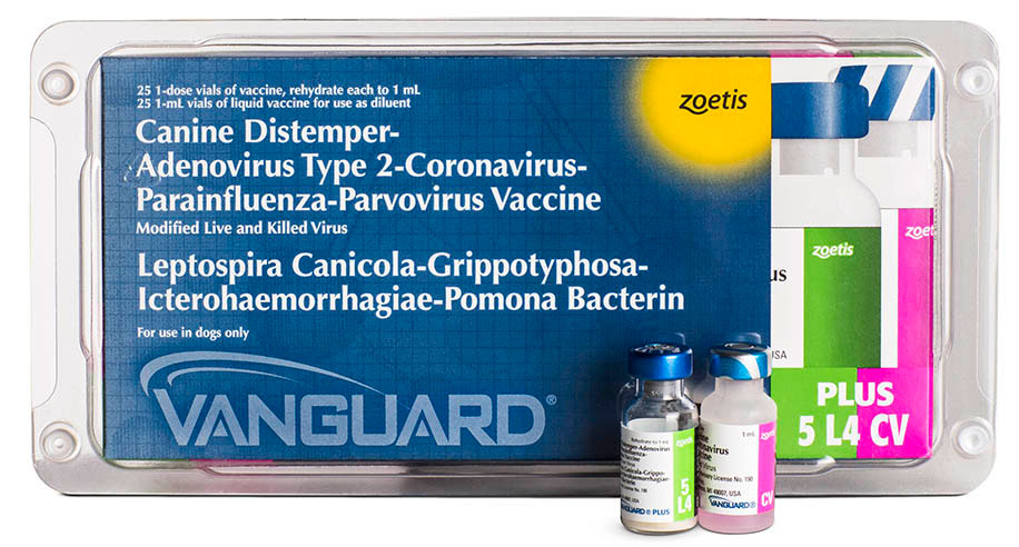 Vanguard plus 5CVL4 (sextuple) x caja x 25 dosis