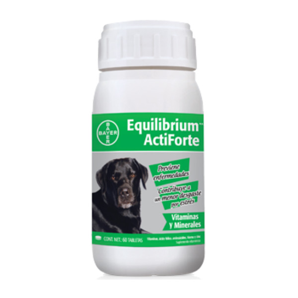 Equilibrium Actiforte pote x 60 tabs