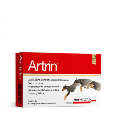 Artrin pastilla x unid