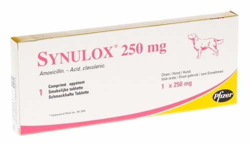 Synulox 250 mg caja x 10 comprimidos