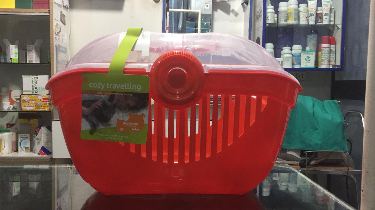 Caja Transportador Toprunner Large - T809 (canasta)