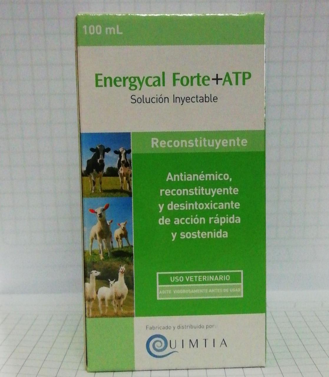 Energycal forte ATP fco x 500 mL