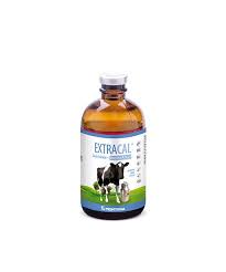 ExtraCal (vencidopromo) fco x 20 mL