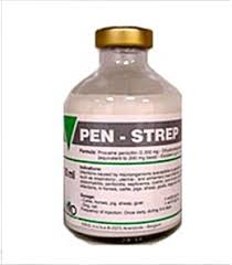 Pen Strep 2020 fco x 100 mL