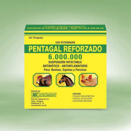 Pentagal reforzado 6 000 000 x 15 mL