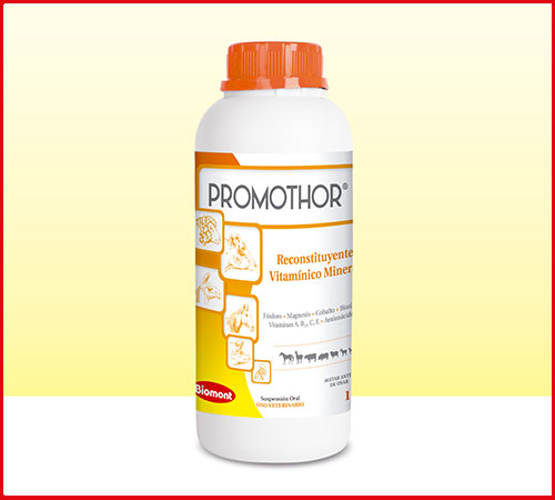 Promothor fco x lt