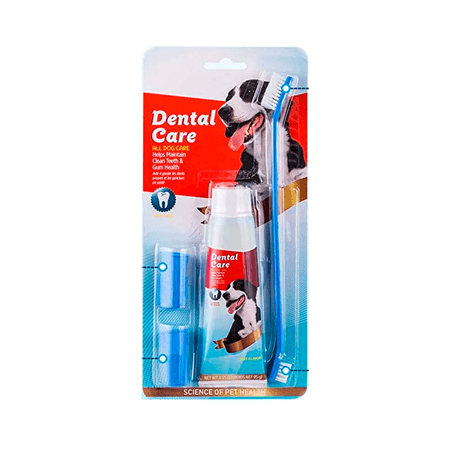Pasta dental con cepillo doble