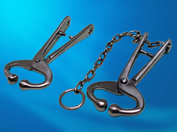 Naricera Bronce Americana