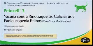 Vanguard Plus Felocell CVR (triple felina) caja x 25 dosis