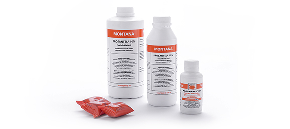 Prosantel 10% caja x 110 cojines x 30 mL