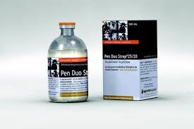 Pen Duo Strep 250200 frasco x 100 mL