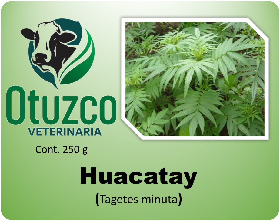 Huacatay Nacional bolsa x 250 g