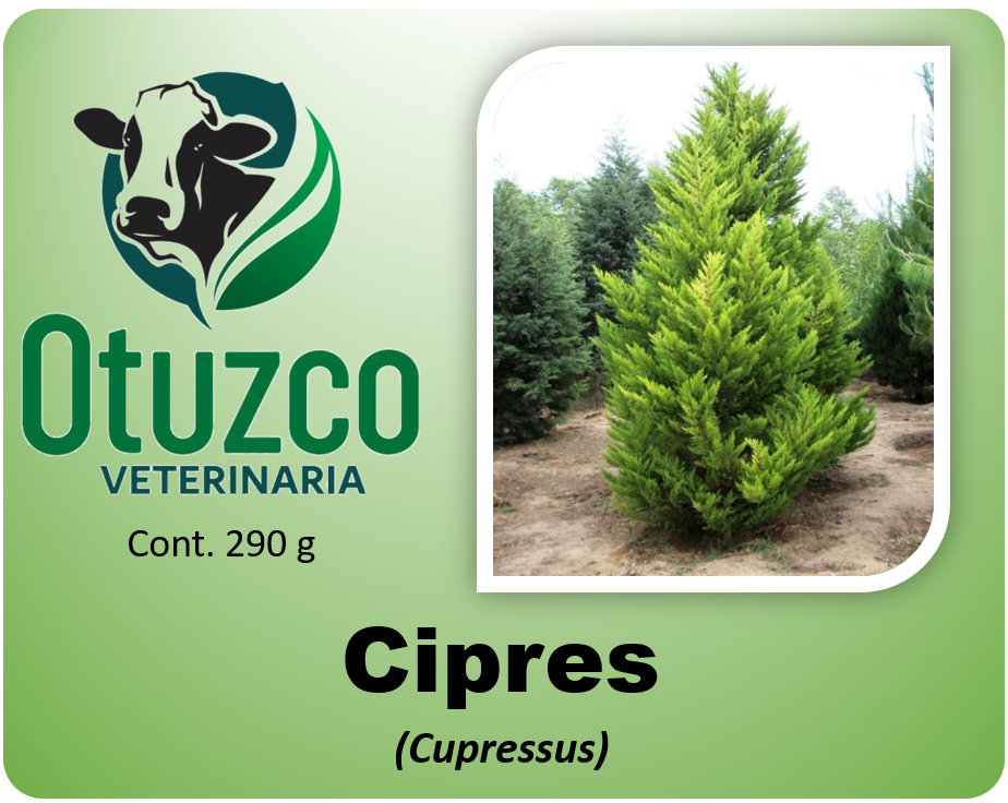 Cipres bolsa x 290 g