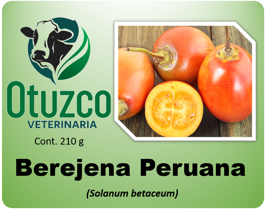 Berenjena peruana bolsa x 500 g