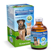 Meloxisan Pets frasco x 50 mL