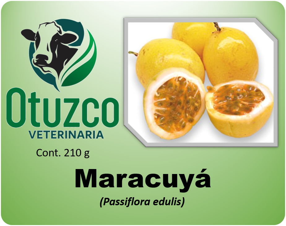 Maracuyá bolsa x 210 g
