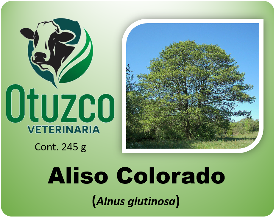 Aliso Colorado bolsa x 250g