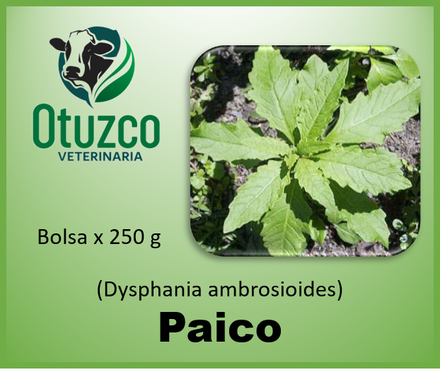Paico bolsa x 250 g