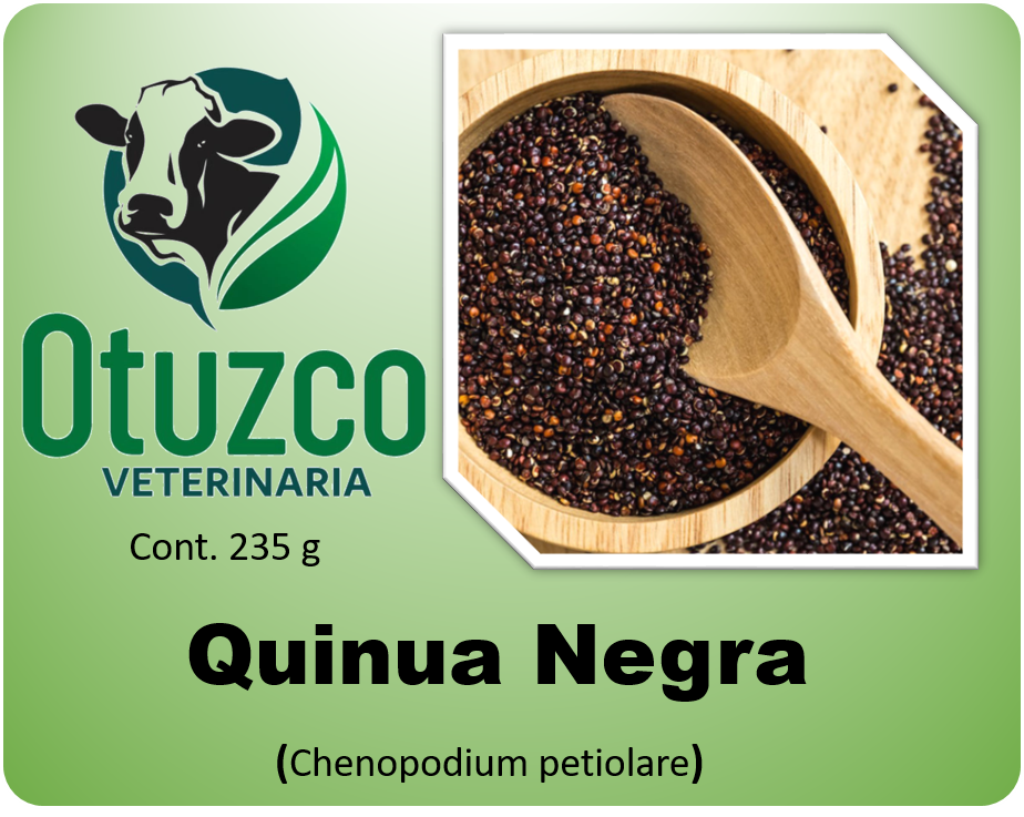 Quinua Negra bolsa x 235 g