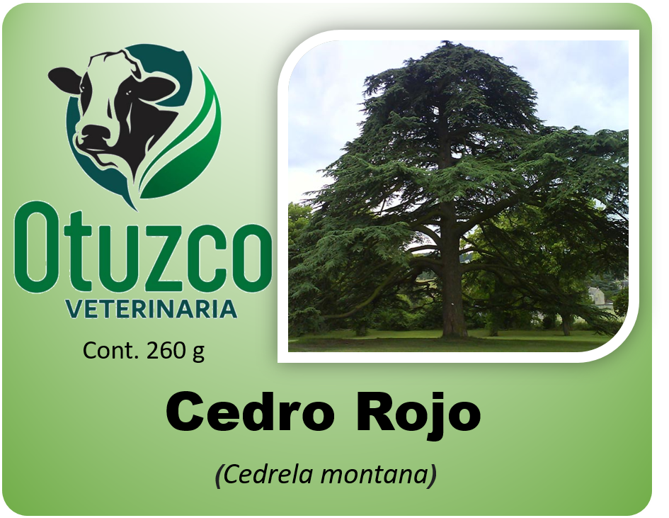 Cedro Rojo bolsa x 260 g