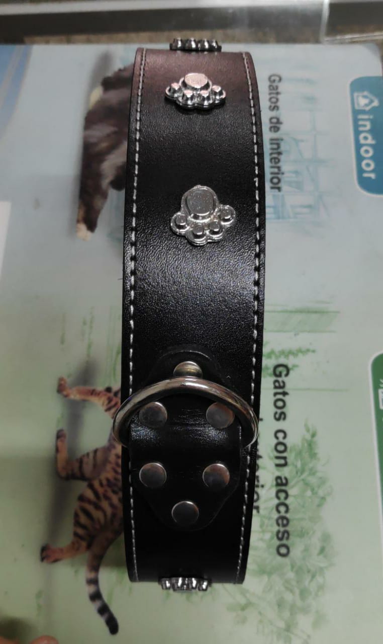 Collar Americano cuero con adorno T-S (213) x unidad