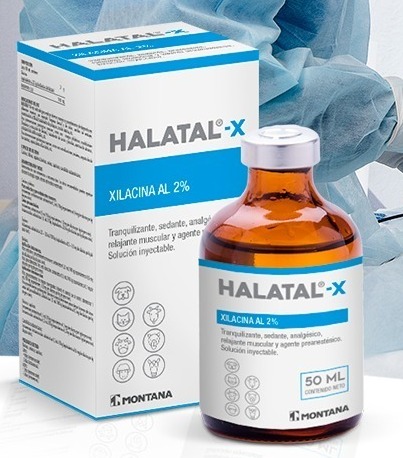 Halatal X (xilacina 2%) frasco x 50 mL