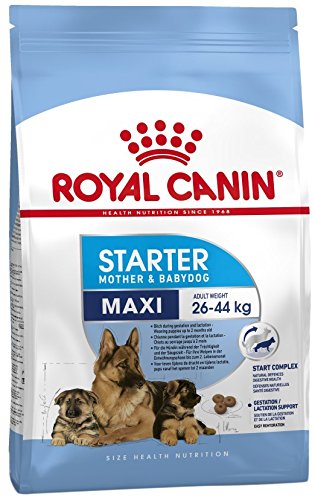 Royal Canin Maxi Starter PRO bolsa x kg
