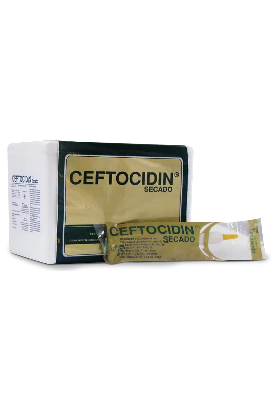 Ceftocidin Secado jeringa x unidad