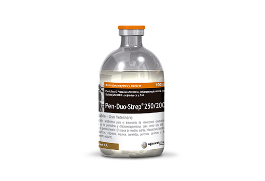 Pen duo strep 250200 caja x 12 frascos x 50 mL