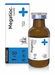 Megatioc (acido tiotico) frasco x 100 mL