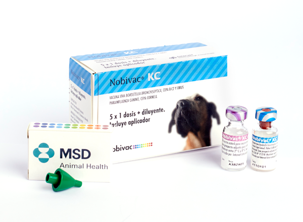 Novibac KC (tos de las perreras) caja x 5 dosis