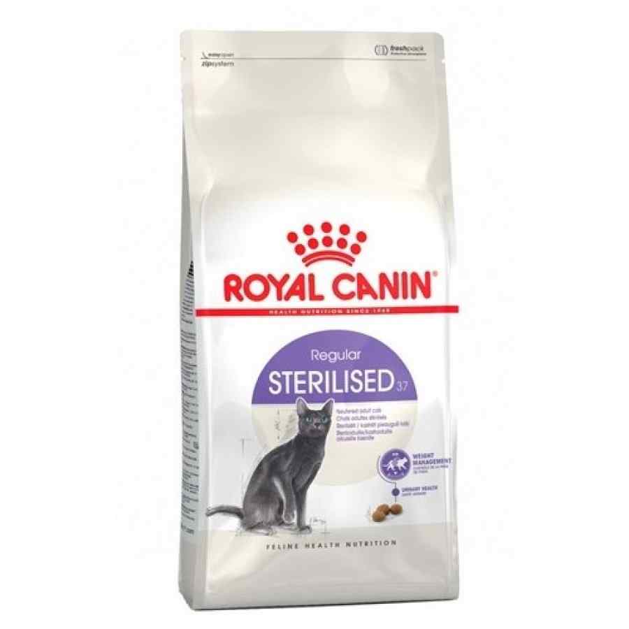 Royal Canin FHN Sterilised 37 FD bolsa promo 8 + 2 kg