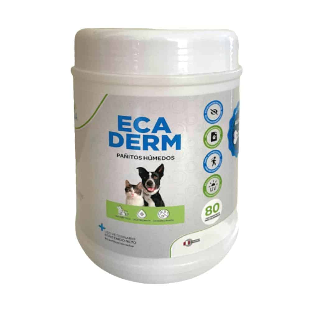 Ecaderm panitos humedos pote x 80 unidades