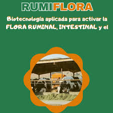 Rumiflora (pre y probioticos ruminales) sobre x 100g