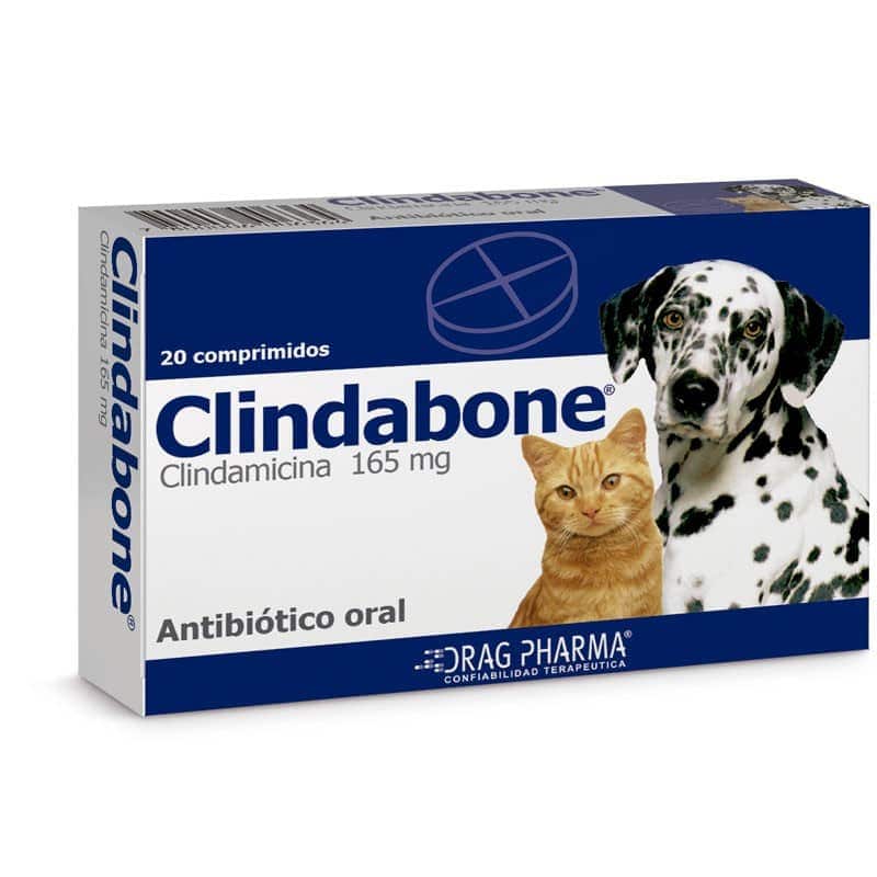 Clindabone 165mg caja x 20 comprimidos