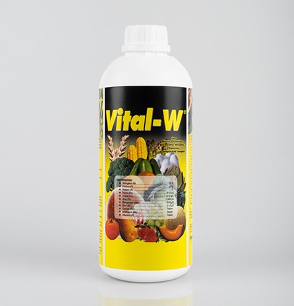 Vital W fco x lt